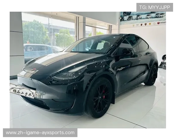 特斯拉Model2最新售价与发布时间全面解析与预测 特斯拉Model2最新售价与发布时间全面解析与预测
